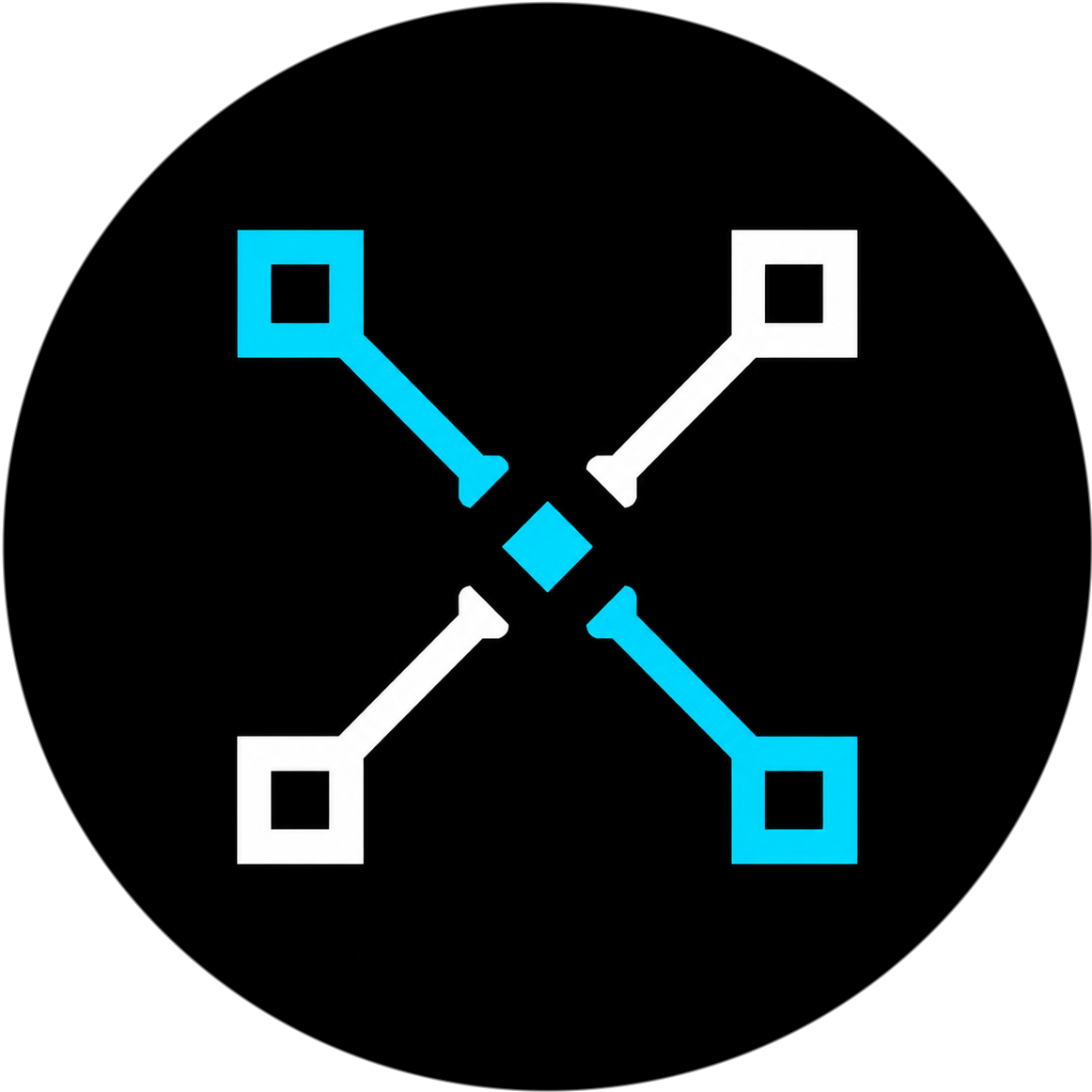 Exfer round token
